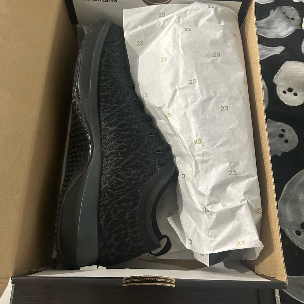 NIB Jordan Trainer 1 low